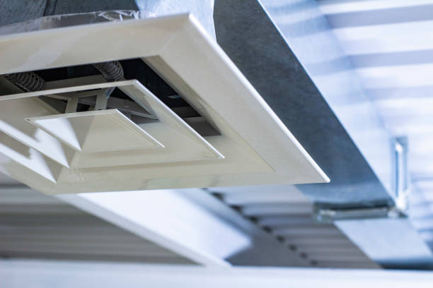 Best Air Duct Mold Removal  in Alamo, GA