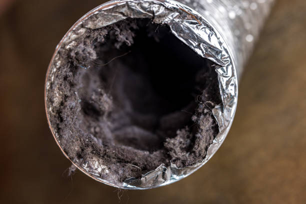 Best HVAC Duct Inspection Services  in Alamo, GA