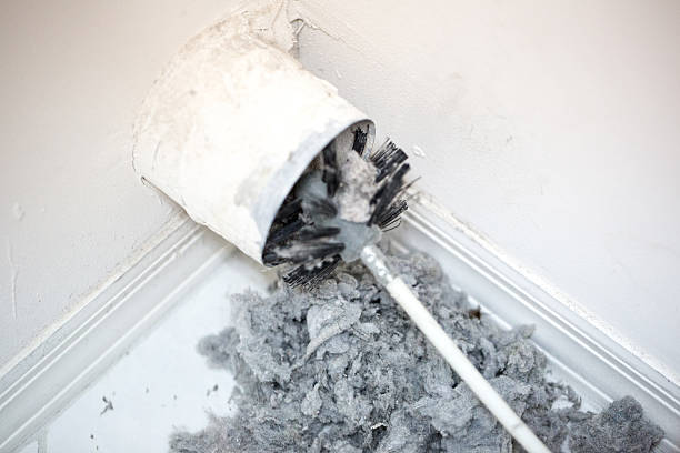 Best Emergency Air Duct Cleaning  in Alamo, GA